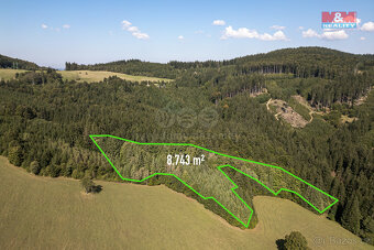 Prodej lesa, 8743 m², Valašská Senice - 3