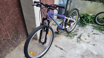 Kolo Kona 12inch - 3