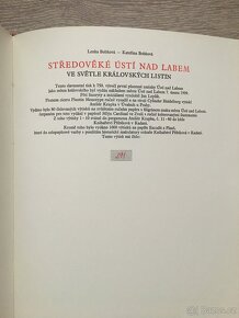 Středověké Ústí nad Labem ve světle královských listin - 3