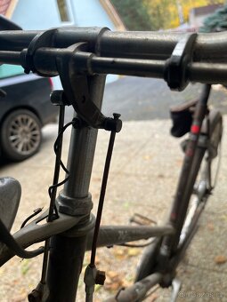 Kolo Bavatus Flying Dutchman - 3