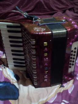 Akordeón Badmaster - 3