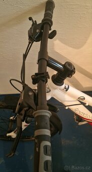 Favorit Modus SX 26" - 3