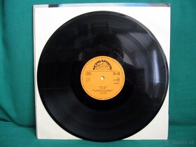 LP Petra Janů - Jámy - 3