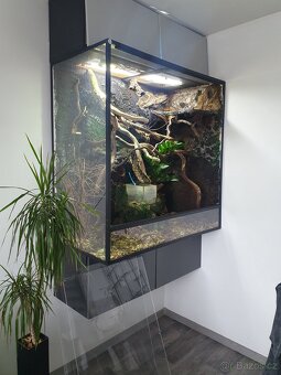 Terarium - 3