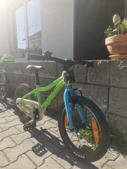 Author record 16 - 3