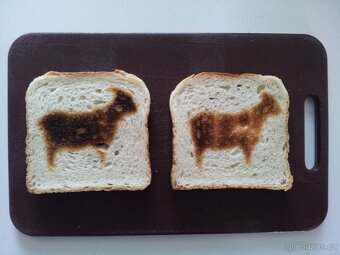 TOPINKOVAČ - s kozlem - 3