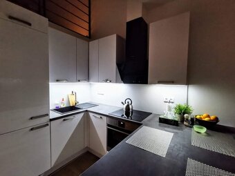 Pronajmu lofotvý byt 4+kk 75m2, Malenovice - 3