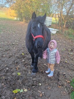 Pony kobylka - 3