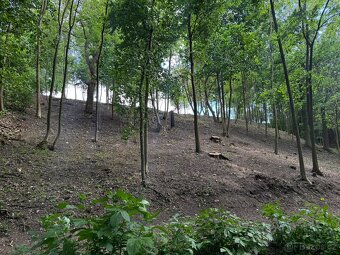 Stavební pozemek 1 528 m² u potoka – v chatařské osadě - 3