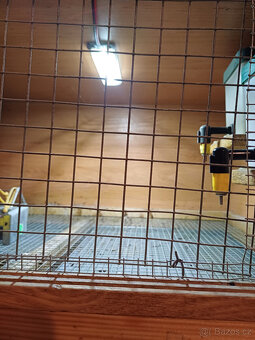 Odchovna pro kuřátka - 3