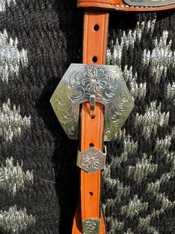 Show uzdečka Tom Zajac - 3