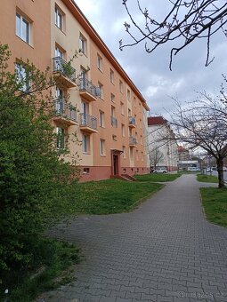 Byt 1+1, Suvorovova, Slovany -  SLEVA - 3
