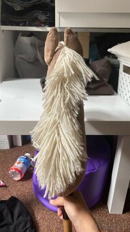 Hobby horse - 3