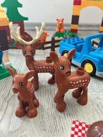 LEGO Duplo 10584 Lesopark - 3