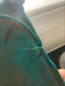 Honda Goldwing GL 1000 - boční kryt pravý - 3