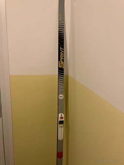 Běžky skluznice šupina - 3