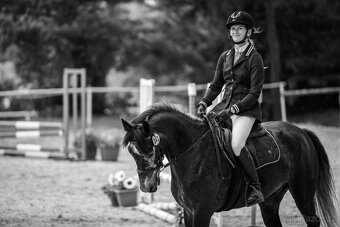 TOP connemara pony - 3