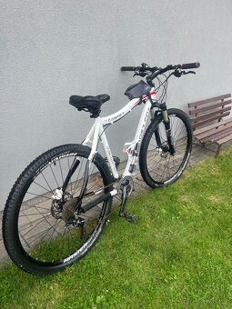 Kolo Leader fox caster - 3