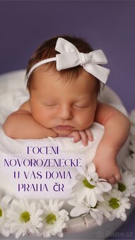 Focení novorozenců Praha a celé ČR, ateliér / doma Newborn - 3