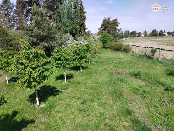 Prodej zahrady 600 m2 - HK, Svinary - 3