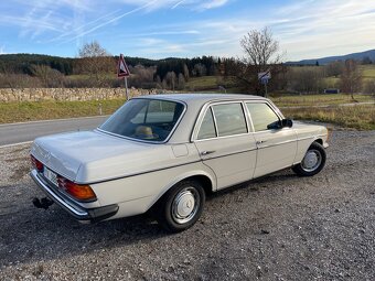 Mercedes benz w123 250 - 3