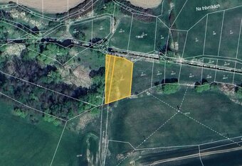 Prodej pole v k.ú. Třebčice a Tojice - 3