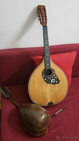 Celomasivní mandocello Cremona - 3