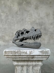 Replika lebky dinosaura Ceratosaurus Muzejní kvalita, 20cm - 3