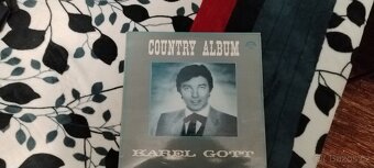 Prodávám různé LP desky - 3