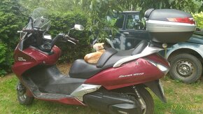 Silverwing FJS600 - 3