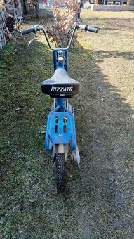 Atala Rizzato Babetta - 3