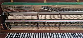 Piano Solton - Renner - 3