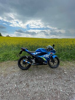 Suzuki gsxr 125 - 3