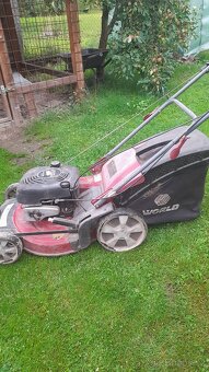 Sekačka křovinořez - 3