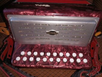 Harmonika Delicia Popular CF - 3
