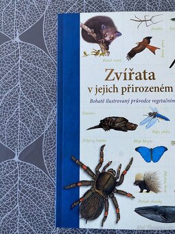 Nová kniha Zvířata v jejich přirozeném prostředí - 3