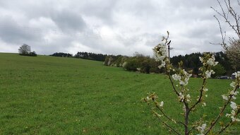 Podíl na 11 ha louky Moravská Chrastová, Svitavy - 3