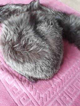 Kožešinové čepice a límce - 3