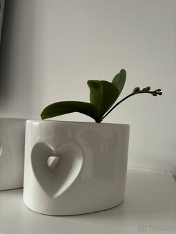 Keramický květináč srdíčko 2 kusy - 3