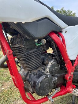 Pitbike 250 - 3