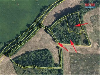 Prodej louky, 9839 m², Mašťov-Dobřenec - 3
