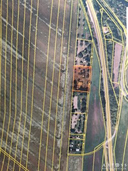 Prodej velké zahrady s chatkou, celkem 2 257 m2 - Ponětovice - 3