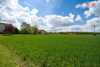 Prodej pozemku k bydlení, 3195 m², Lešná - 3