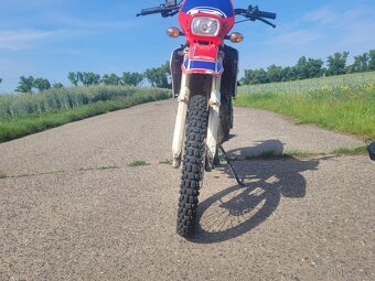 RIEJU RR 50 - 3