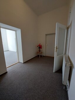 Prodej bytu 3+1 v centru Olomouce u parku - 3