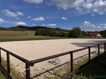 Nabízíme pastevní a boxové ustájení - 3