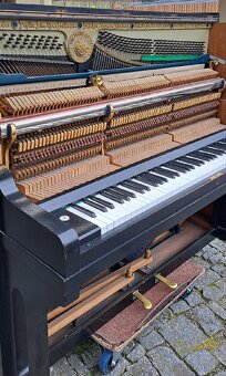 August Förster jako dekorace. - 3