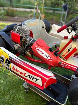 Kart Birel Easykart 60cc - 3