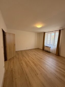Pronájem bytu 1+1, v Českém Brodě, 52m2 - 3
