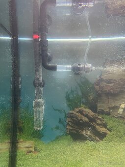 Juwel Rio aquarium 300 +filtrace+topitko - 3